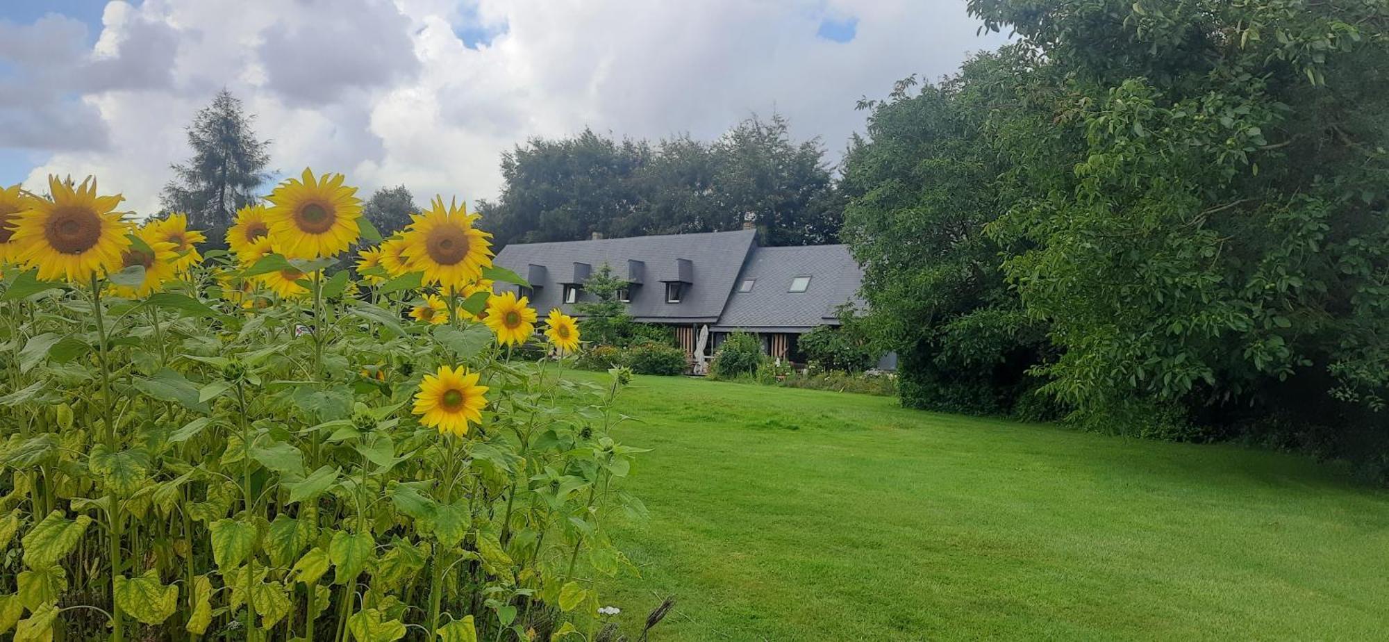 Bed and Breakfast Le Lit De La Saane Auzouville-sur-Saâne Exterior foto